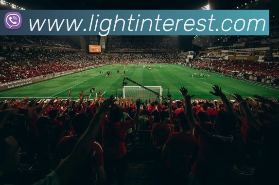 世界杯2026官网平台生态图